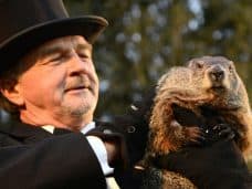 День Сурка (Groundhog Day, 1993) скрытый смысл и объяснение фильма