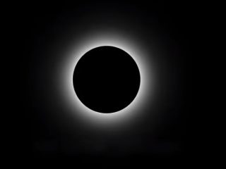 Клава Кока - Зая текст песни и слова